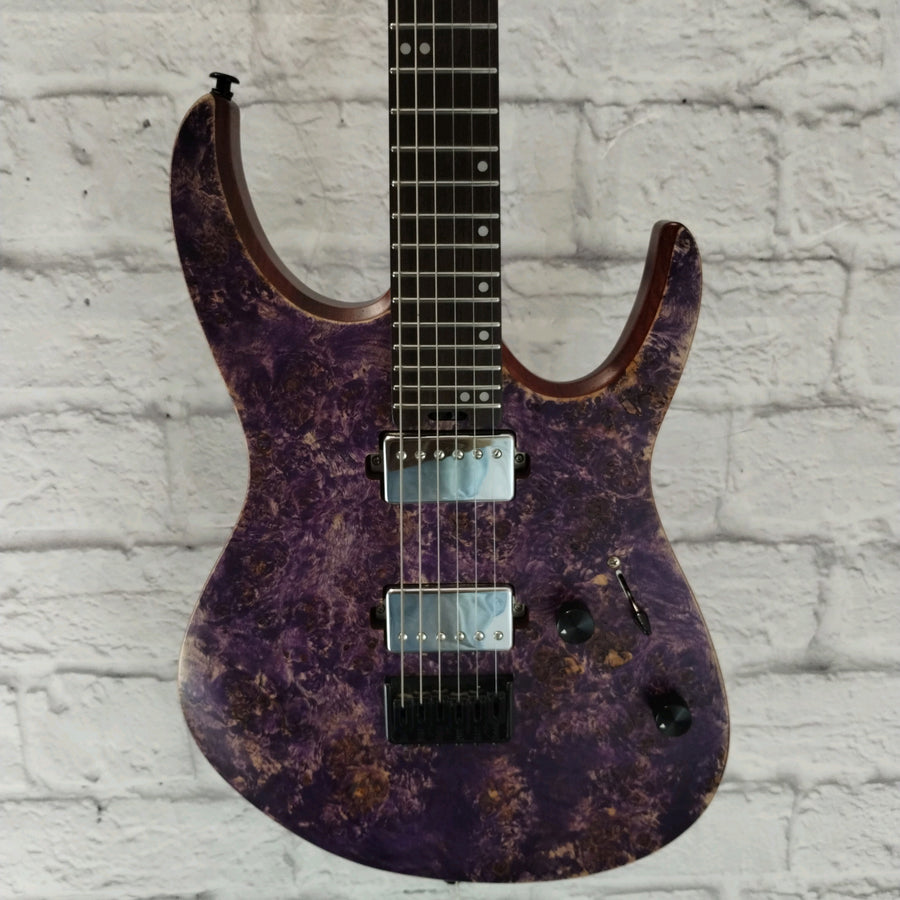 Eart Explorer 1 Electric Guitar