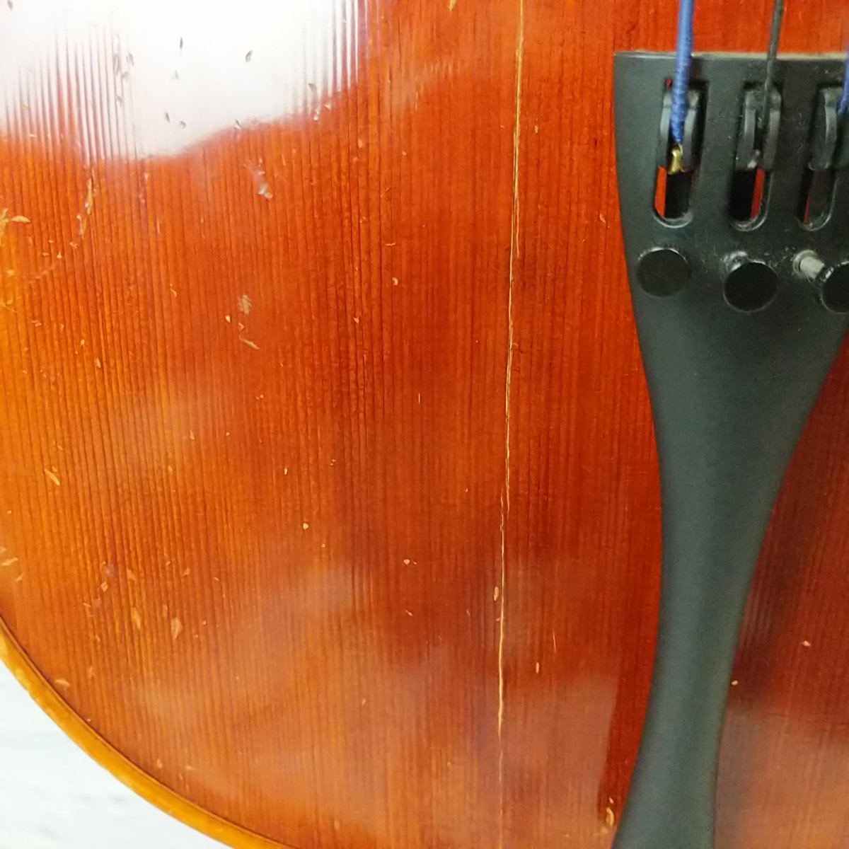 H. Luger 1/2  Cello Outfit C32348