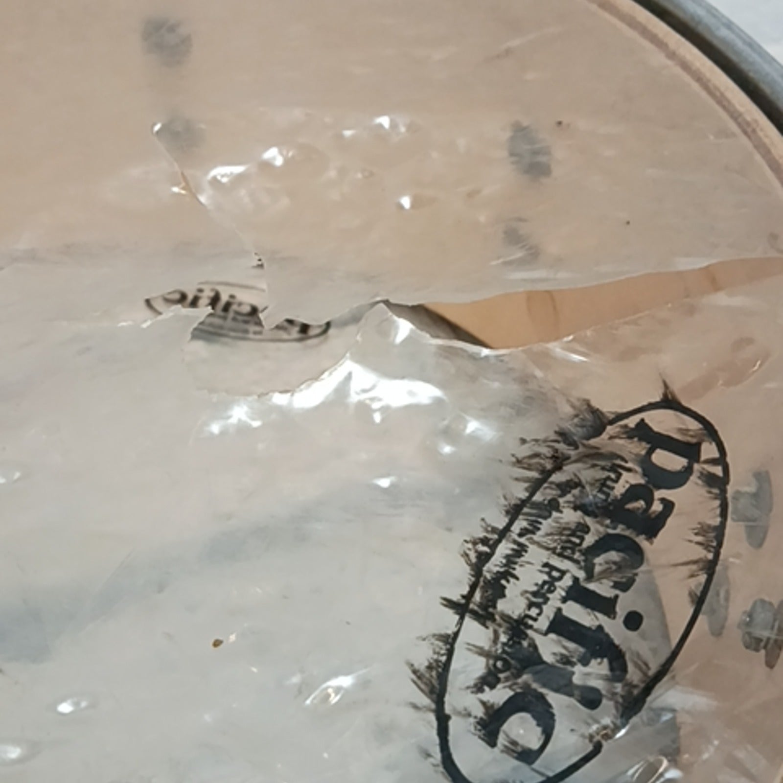 Pacific CX Series Snare Drum AS IS