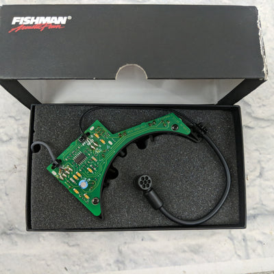 Fishman Ellipse Blend Pickup