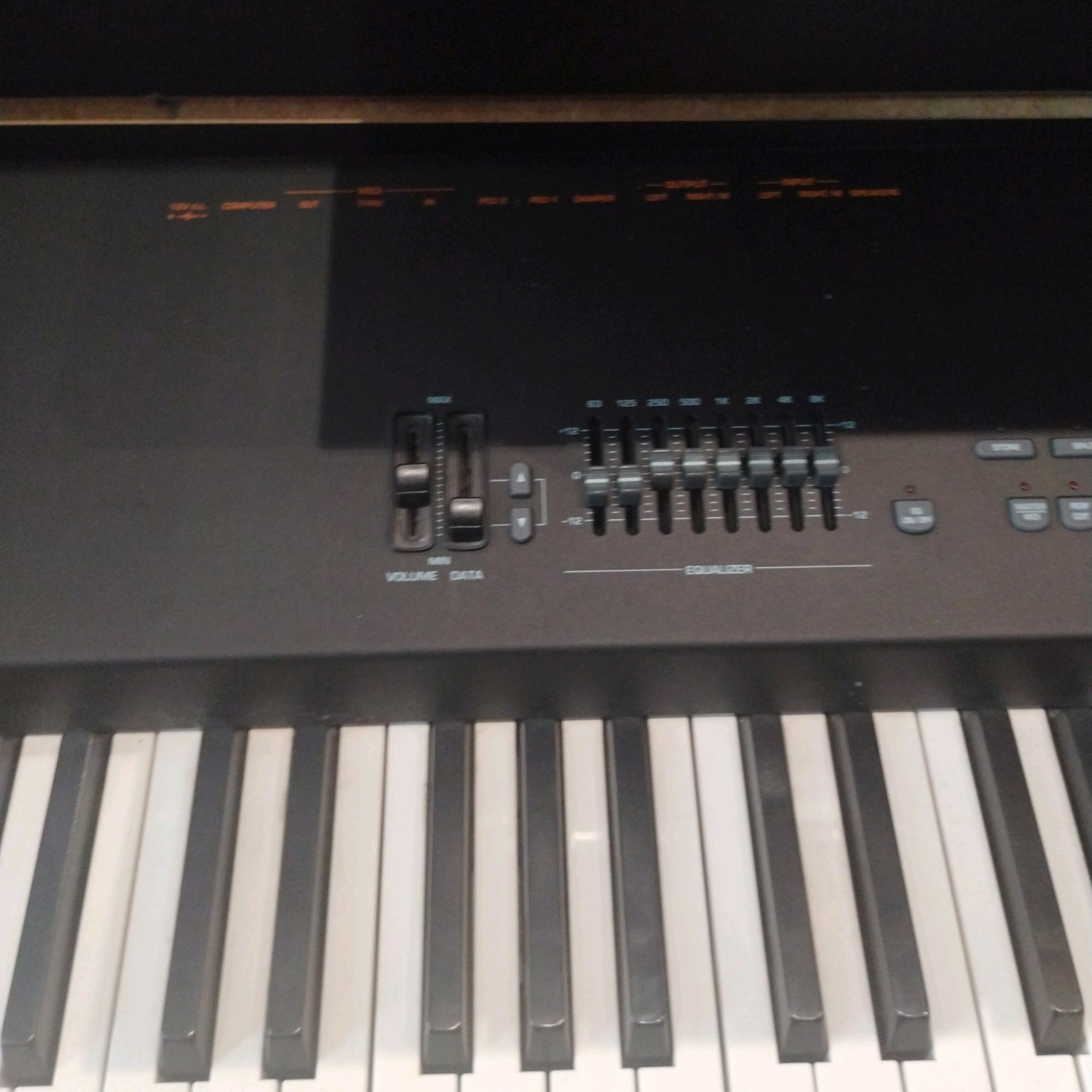 GeneralMusic Real Piano Pro 2 Keyboard