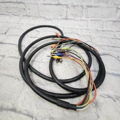 Hosa 10 Foot RCA - TS Cable Snake