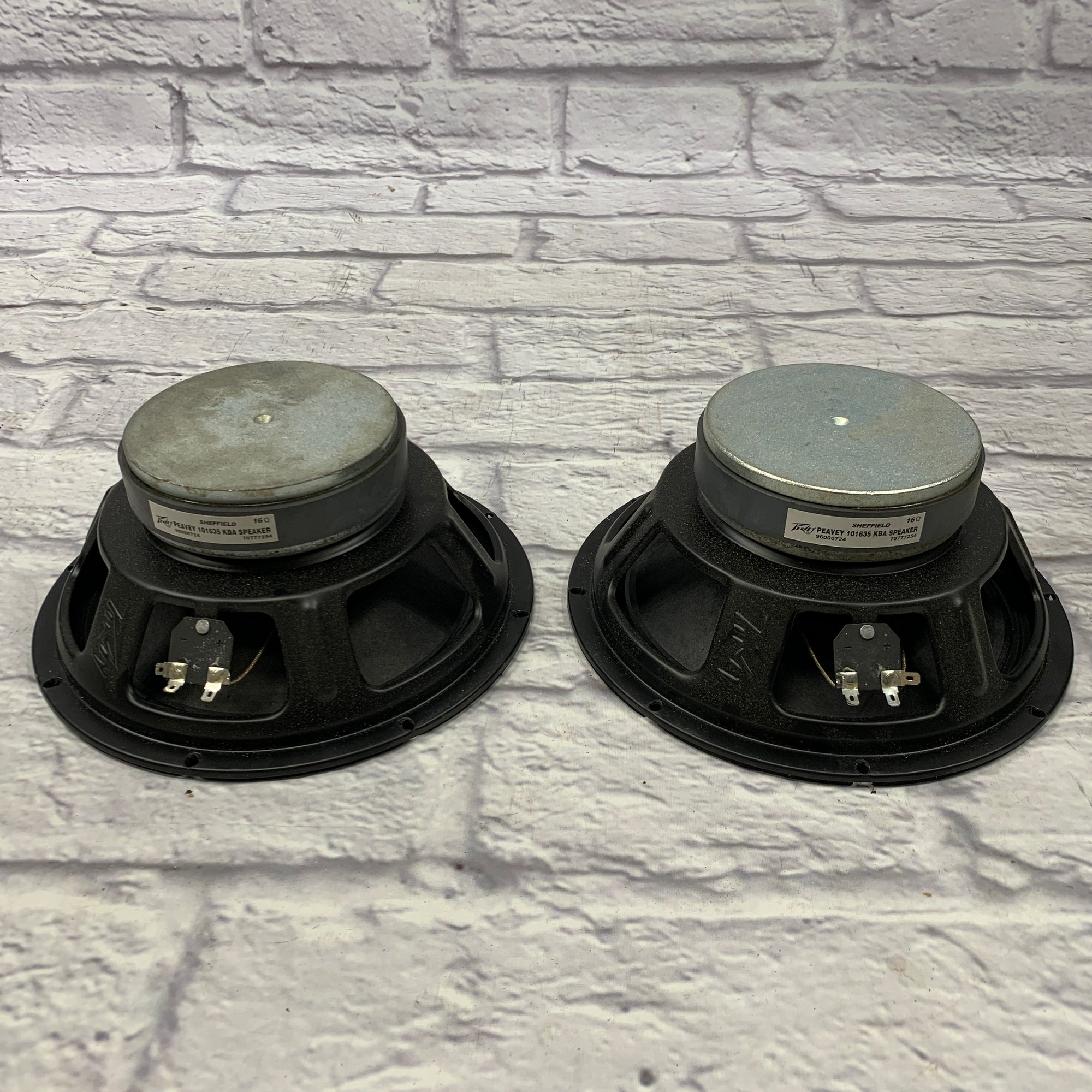 Peavey KB5 Keyboard Amp - Components Only