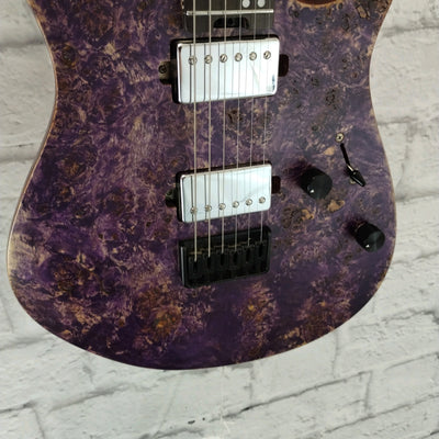 Eart Explorer 1 Electric Guitar