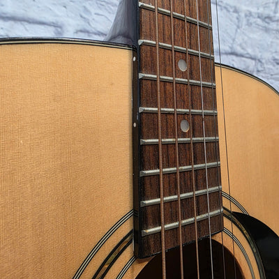 Washburn Lyon Acoustic Guitar
