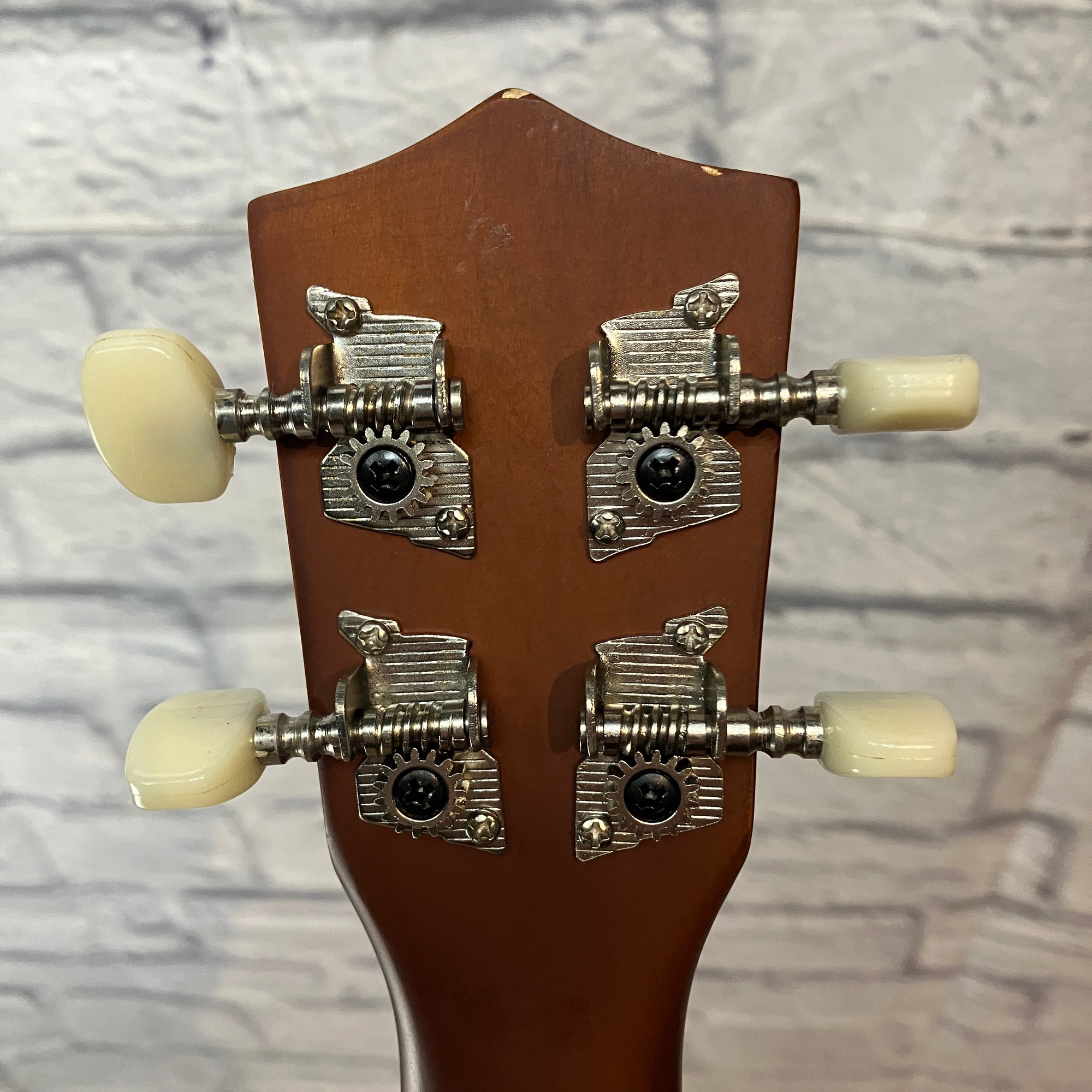 Firebrand Ukulele w/ bag