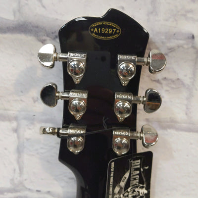 Agile Black 3100 Electric Guitar (With Bag)