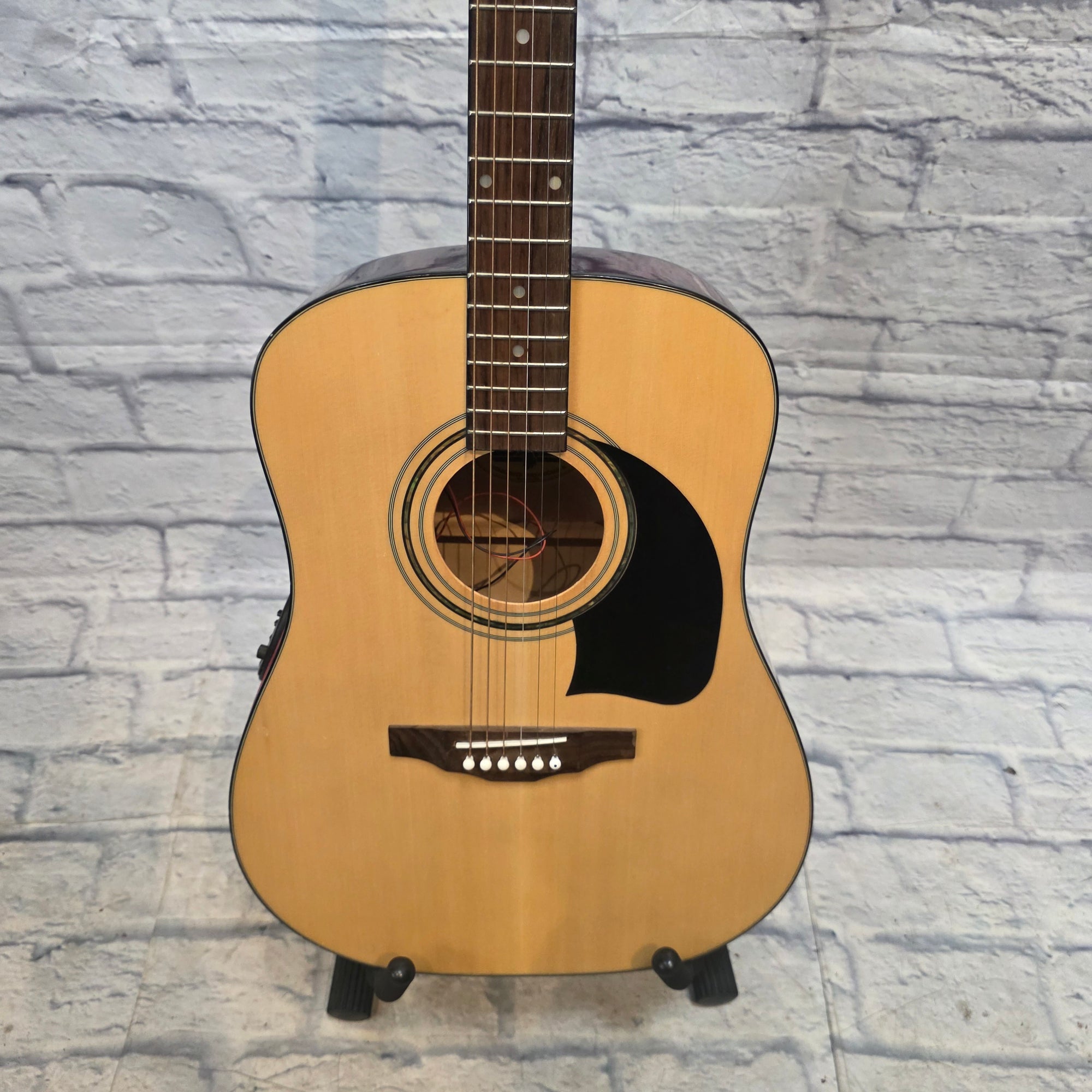 Washburn Lyon Acoustic Guitar