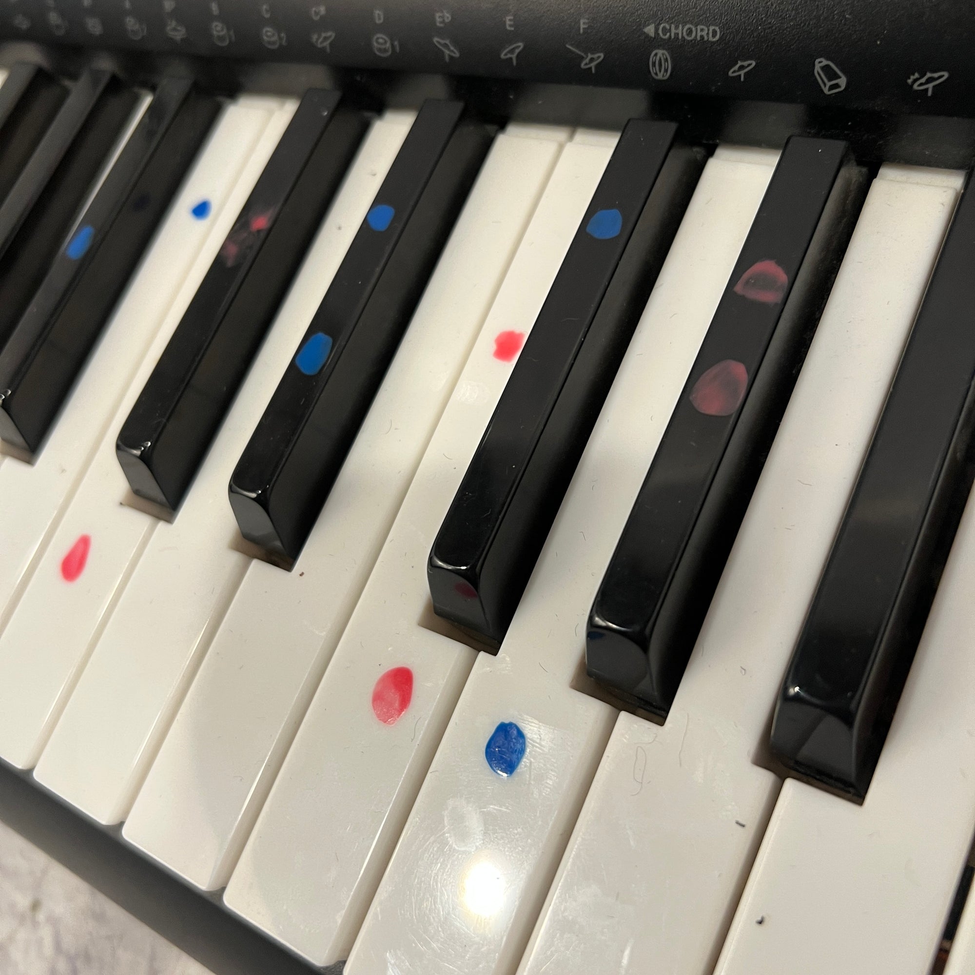 Casio LK-220 61-Key Electronic Keyboard with Lighted Keys