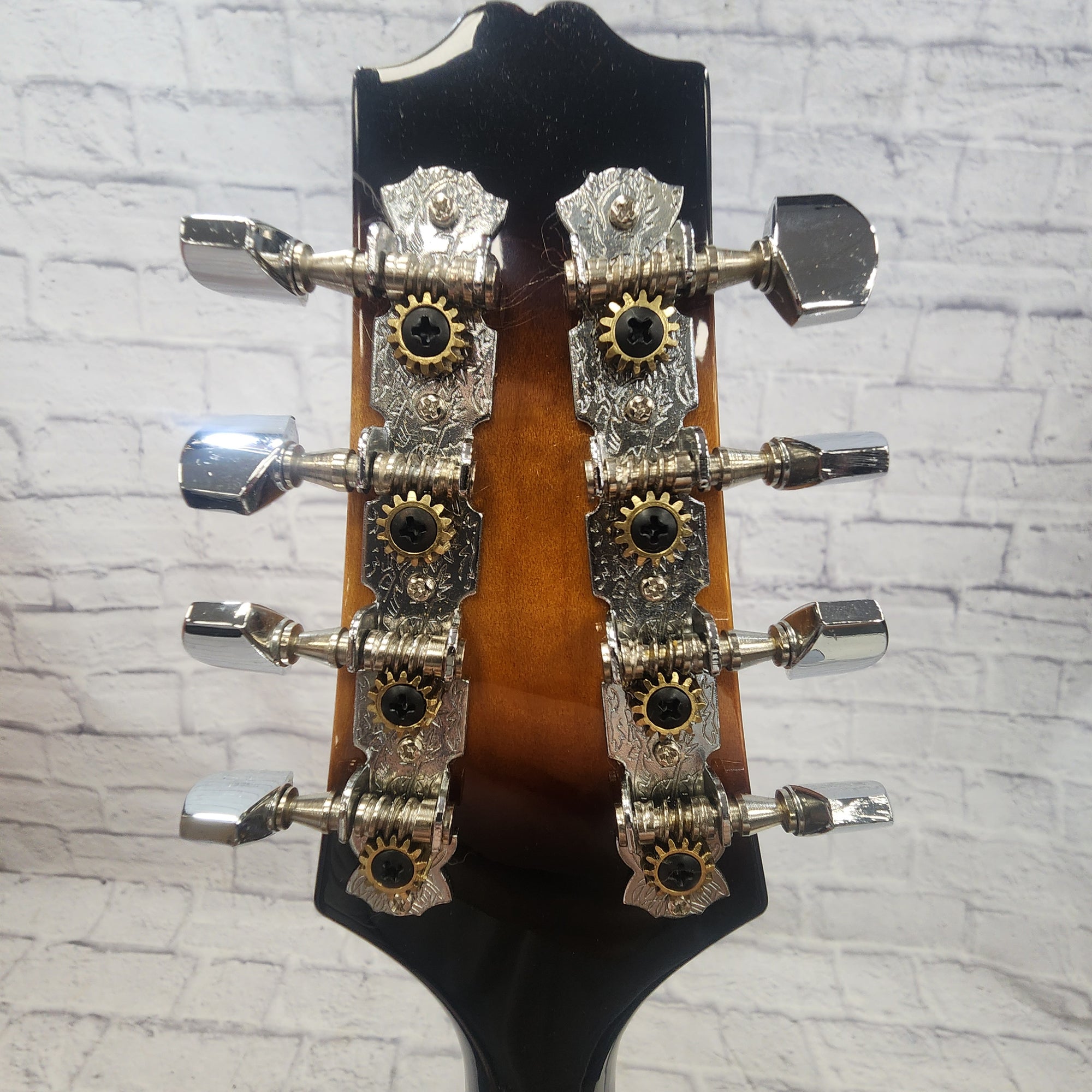 Rogue RM-100A Mandolin