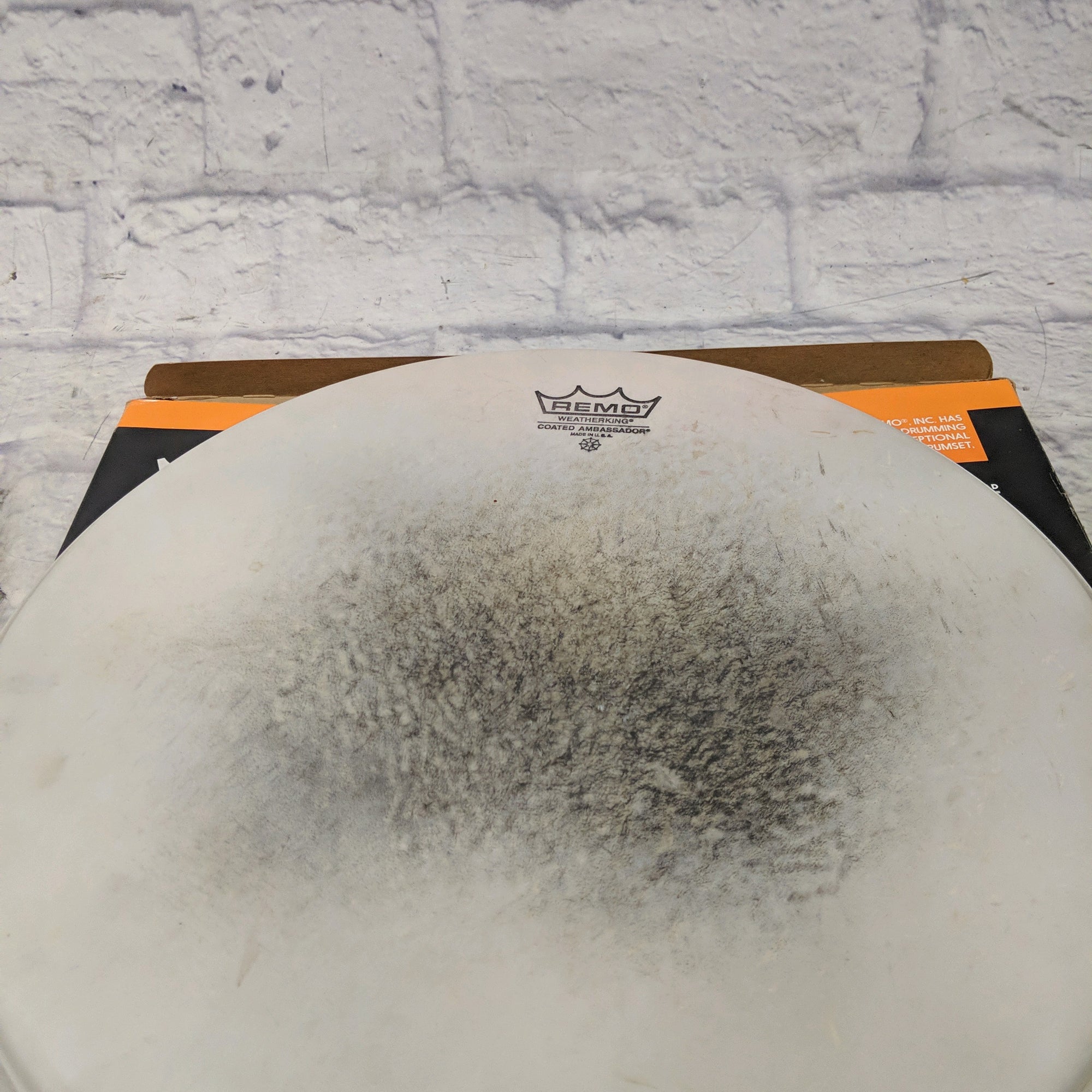 Remo 14 Inch Drum Head  Drum Head