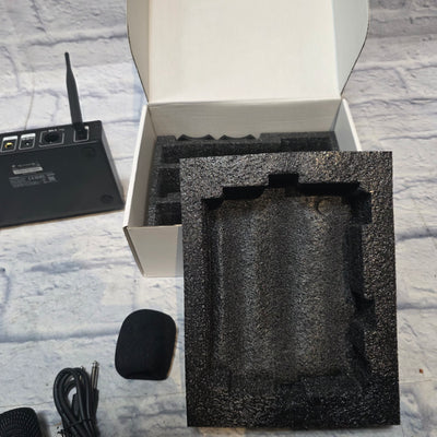 Tonor TW820 Wireless Microphone Set