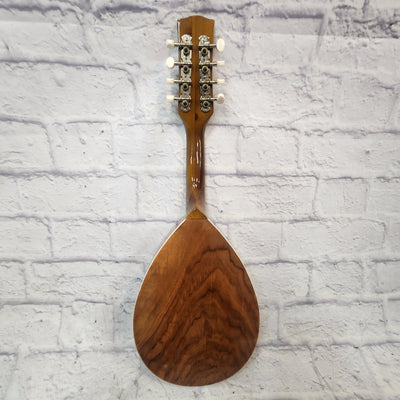 Unknown Vintage European Mandolin