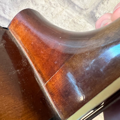 Ensenada GT30 12 String Acoustic Guitar