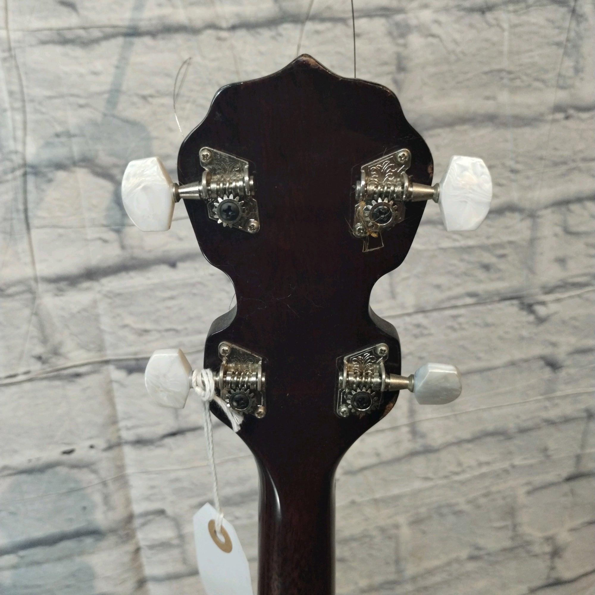 Vintage Antares ABJ-183 Banjo