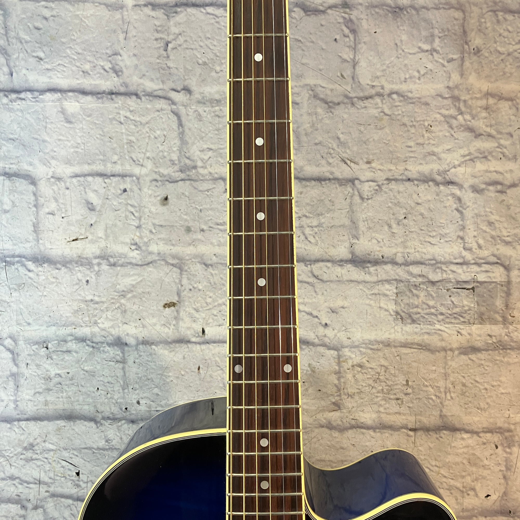 Ibanez AEL20E Blue ElectroAcoustic Guitar