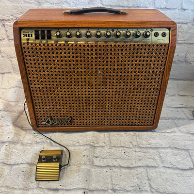 Legend A30 Hybrid Guitar Combo Amp Made in USA
