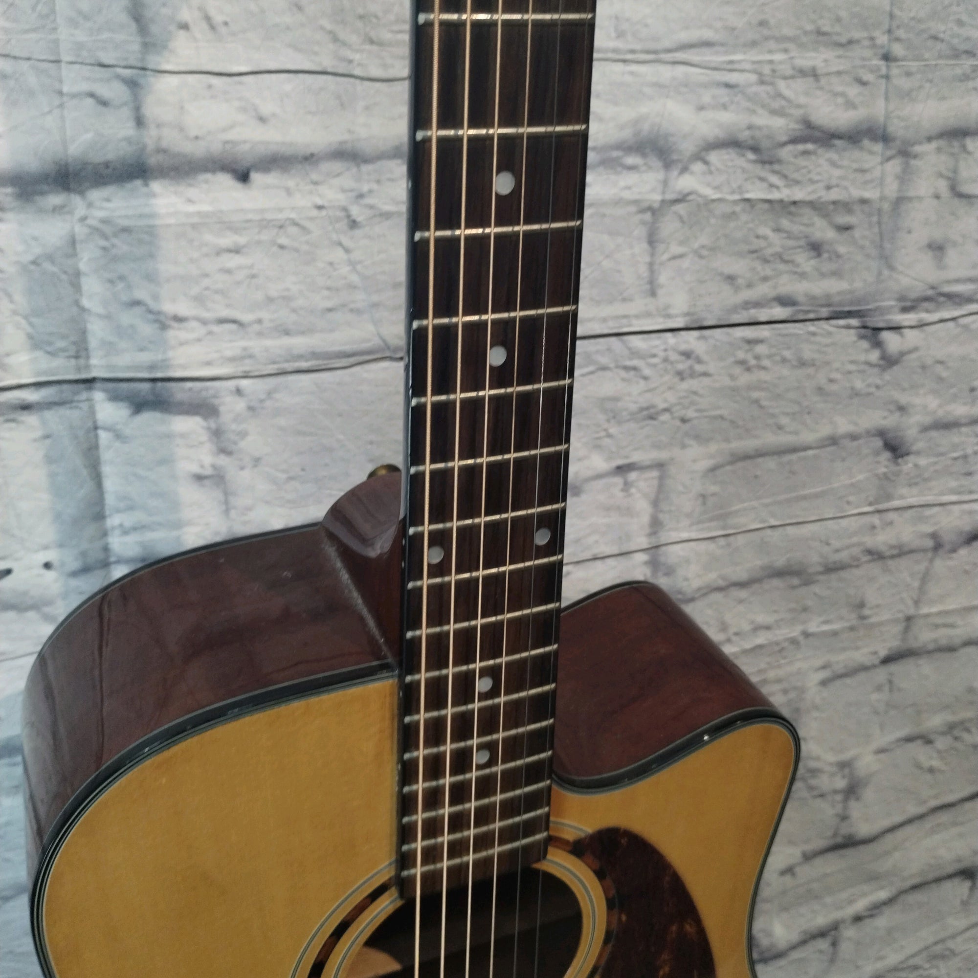 Ibanez PF5ece Acoustic Electric Guitar