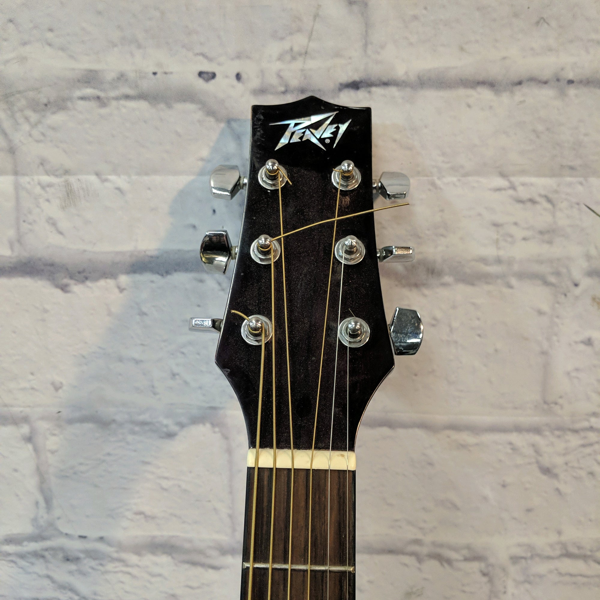 Peavey Gold Acoustic Guitar
