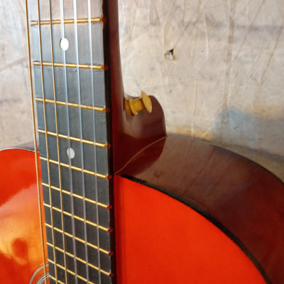 Swift Horse BL360 Nylon String Classical Acoustic Guitar