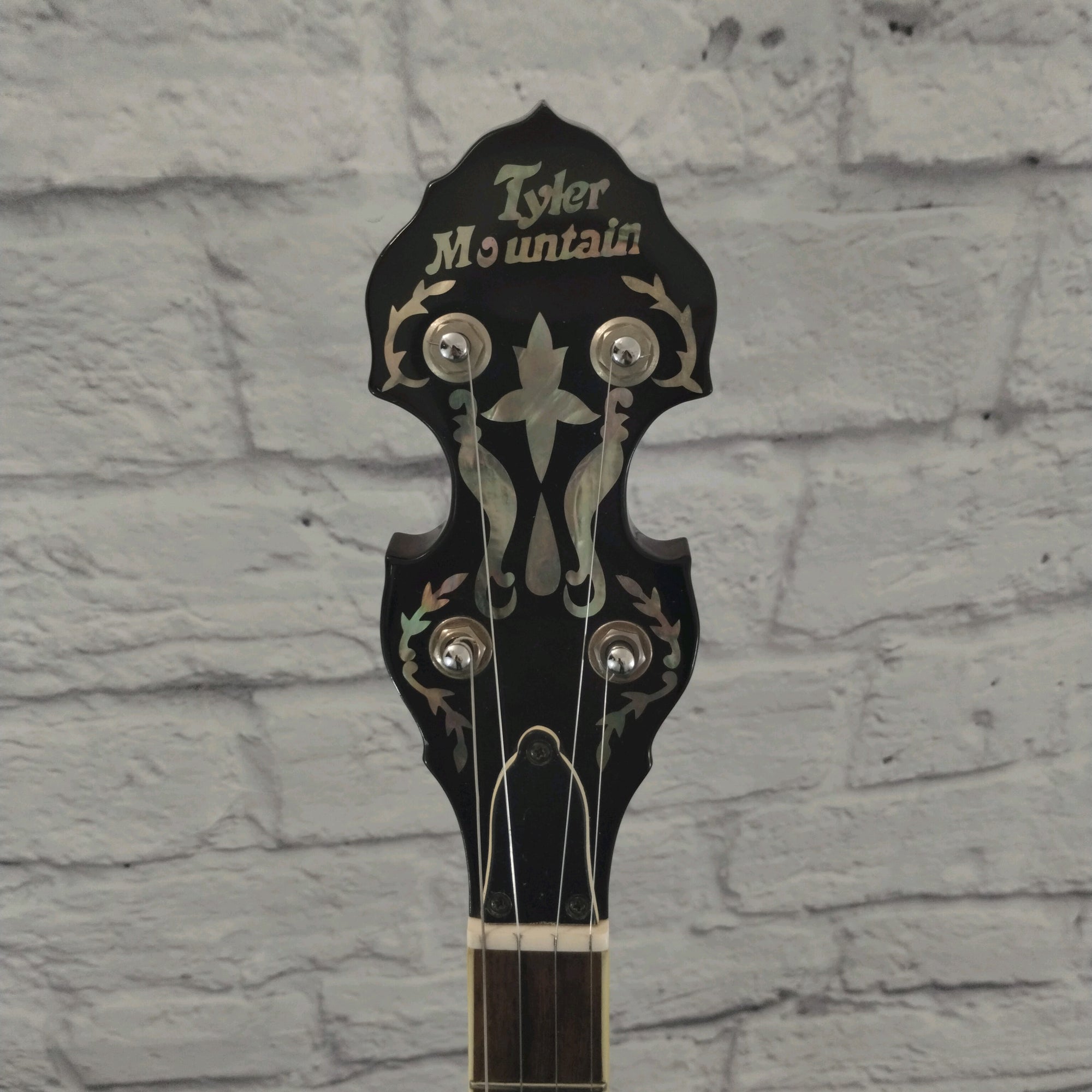 Tyler Mountain TM-700 Banjo W/Case