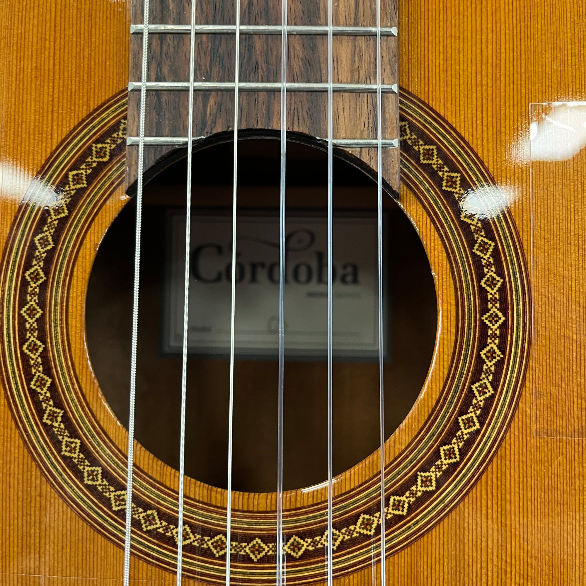 Cordoba C5 Classical Acoustic Guitar