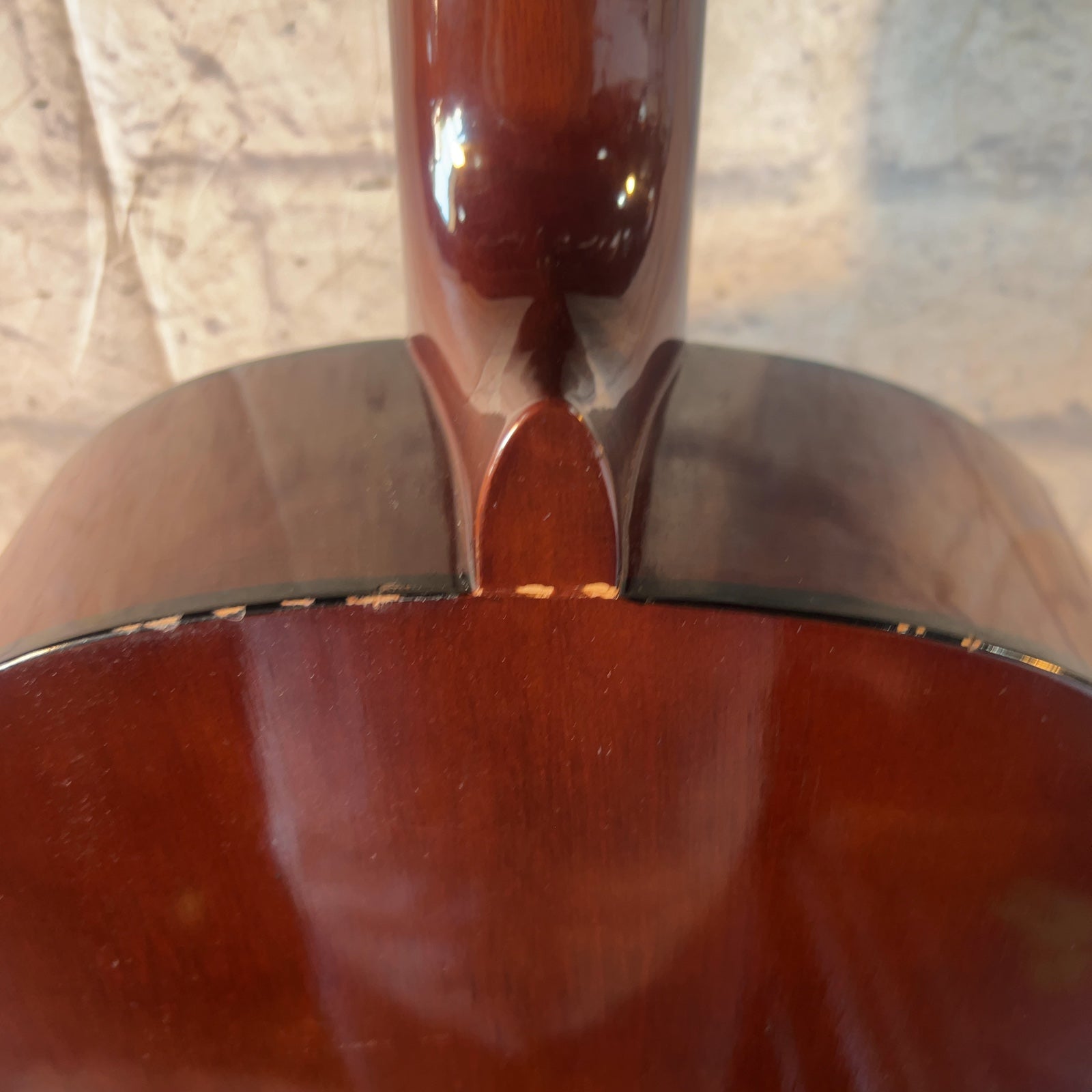 Yamaha C40 Classical Guitar Classical Acoustic Guitar