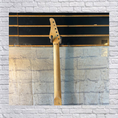 Unknown Rosewood Fretted Guitar Neck