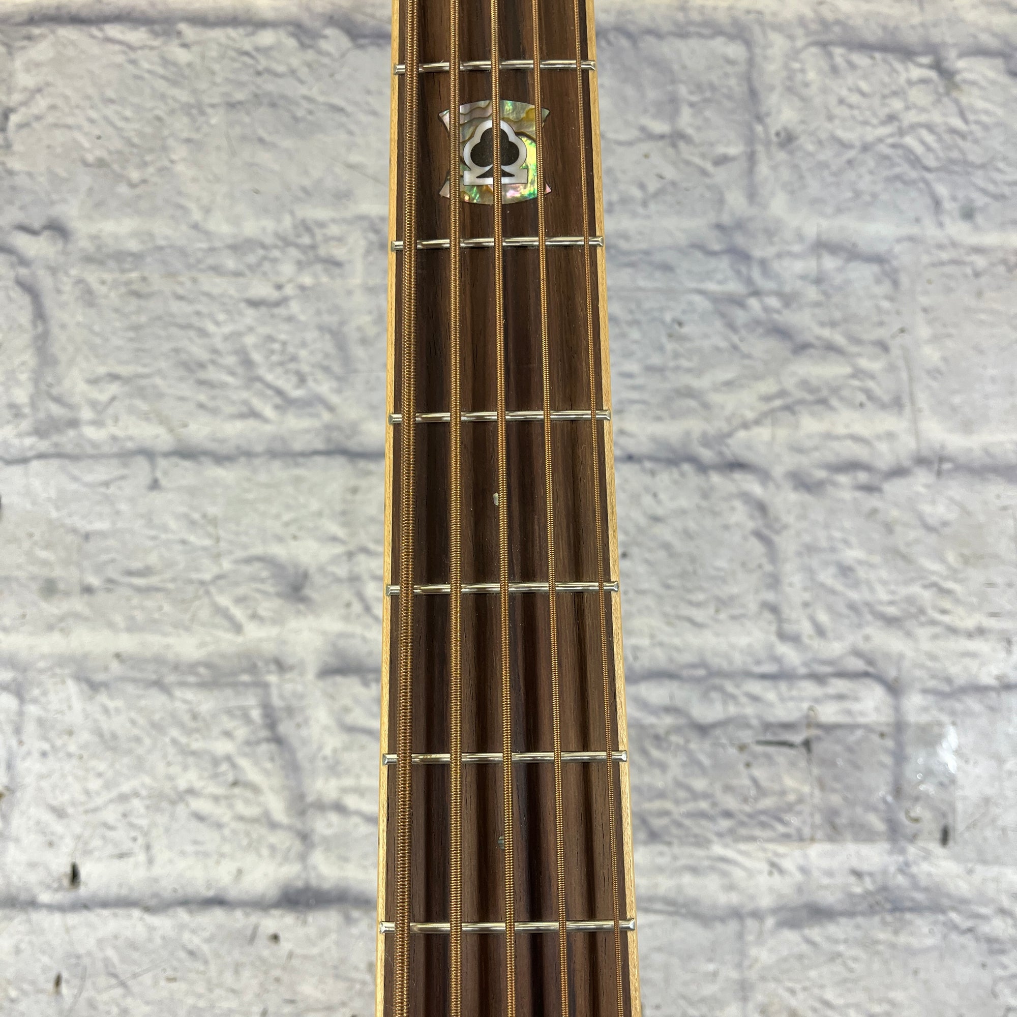 Michael Kelly MKCC5N 5 String Acoustic Bass with Hard Case