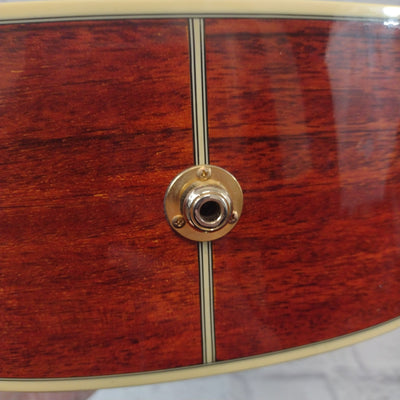 Allen EWJ-40SCE Acoustic Electric Guitar