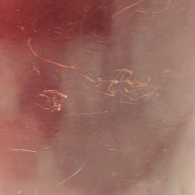 1990s Yamaha Indonesia Stage Custom 11 x 13" Wine Red Stain Tom