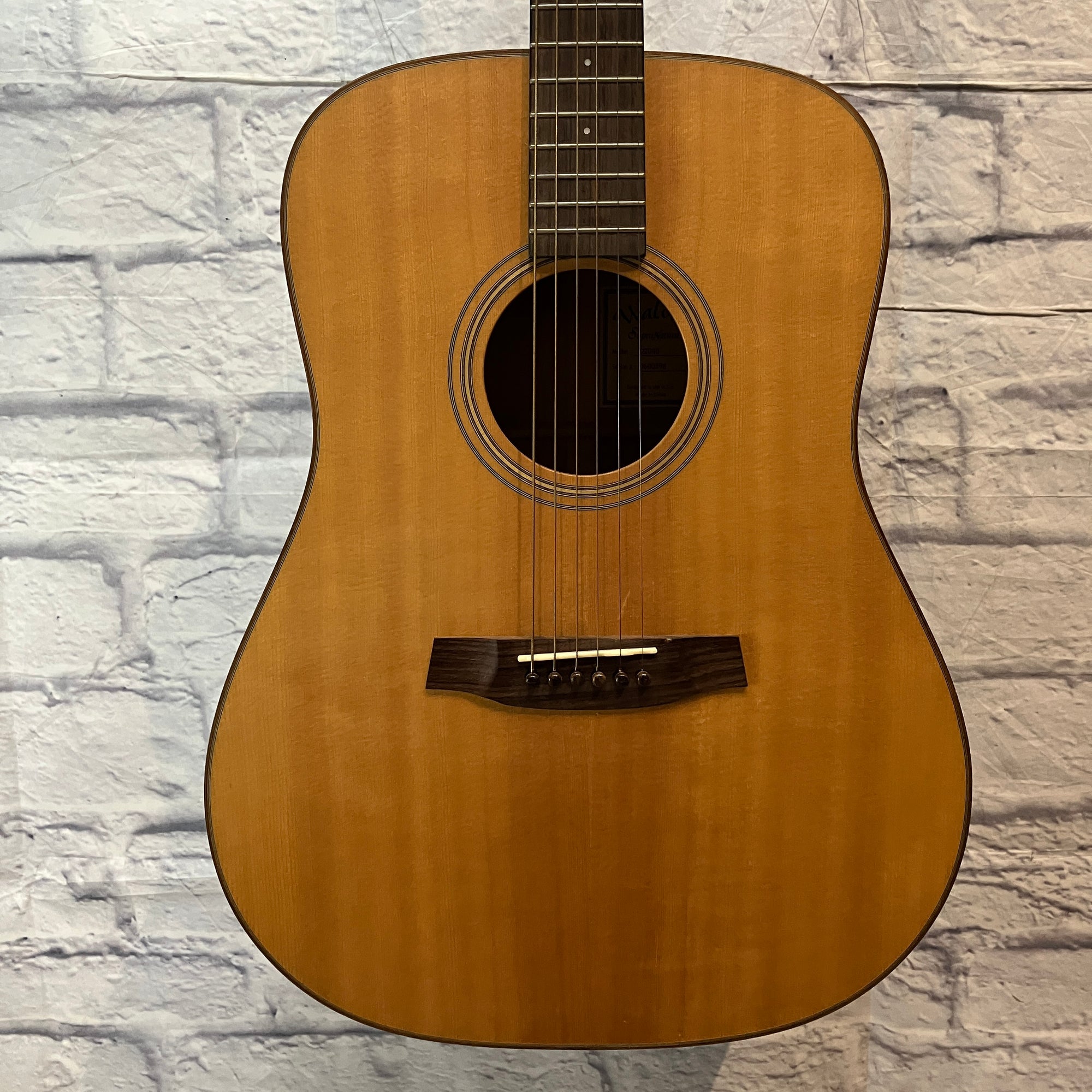 Walden Supranatura D2040 Acoustic Guitar w/ case