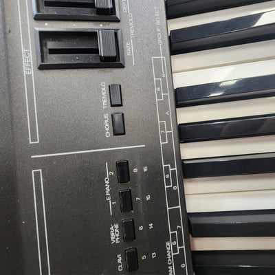 Roland RD-300s 88 Key Digital Piano