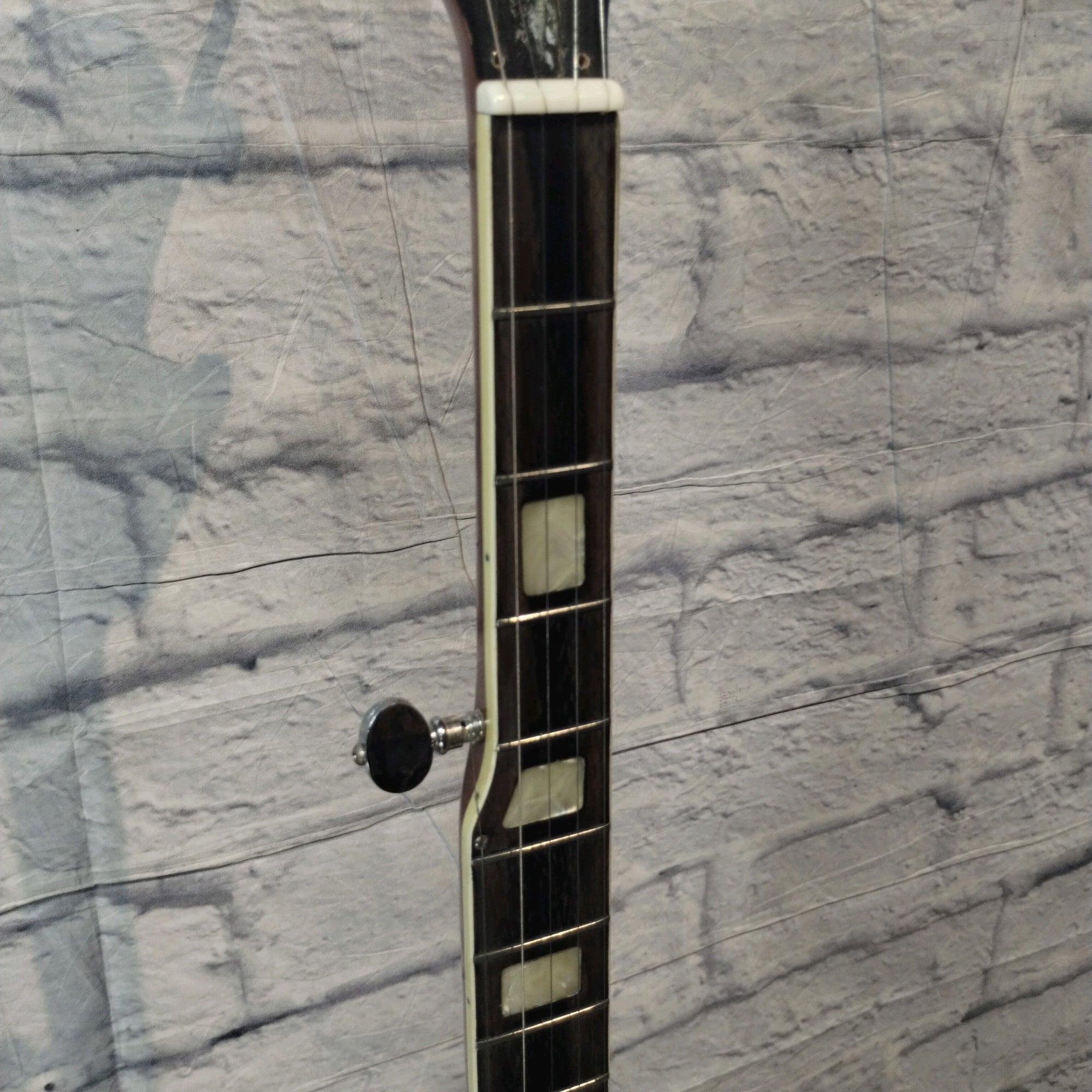 Harmony H409 Banjo