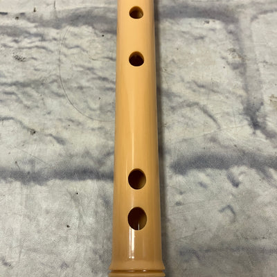 Unknown Classroom Recorder