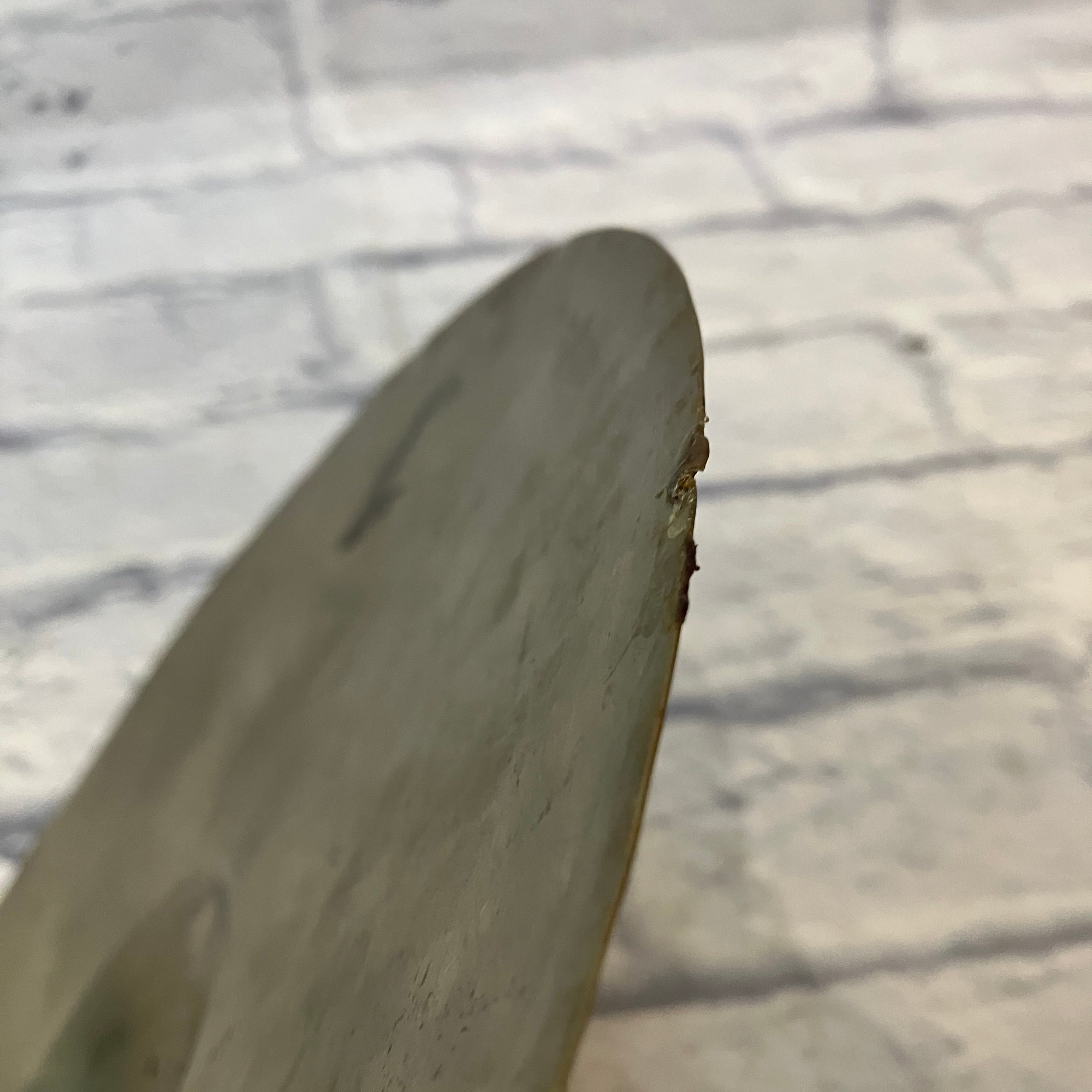 Paiste Stanople 14" Single Hi Hat Cymbal