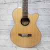 Epiphone PR4E Acoustic Electric Guitar