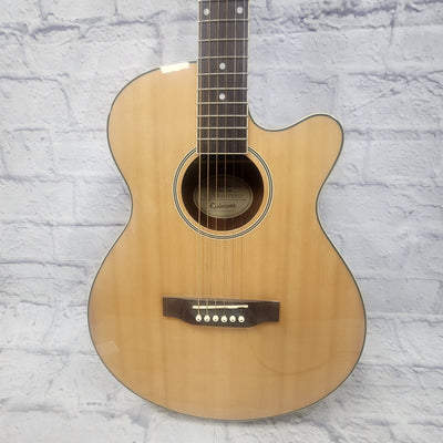 Epiphone PR4E Acoustic Electric Guitar