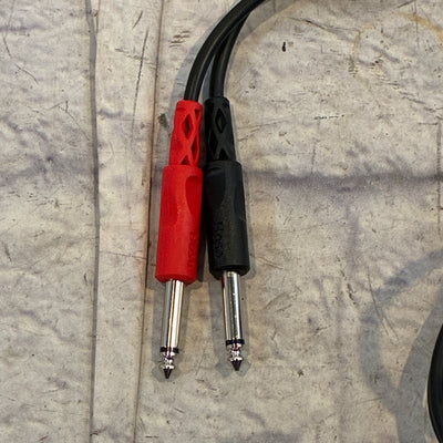 Hosa CPP-201 Stereo Cable - Dual 1/4 in TS Male to Same