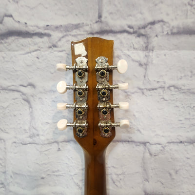 Unknown Vintage European Mandolin