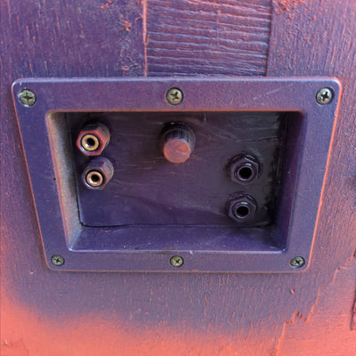 Painted Eden 2x10 Bass Cab - NON FUNCTIONING AS IS