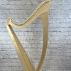 Salvi Titan Harp with Cover