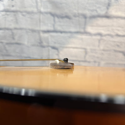 Alvarez RF-10 Dreadnaught Acoustic Guitar With Soft Case