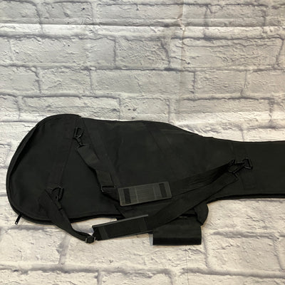 Unknown Black Gigbag