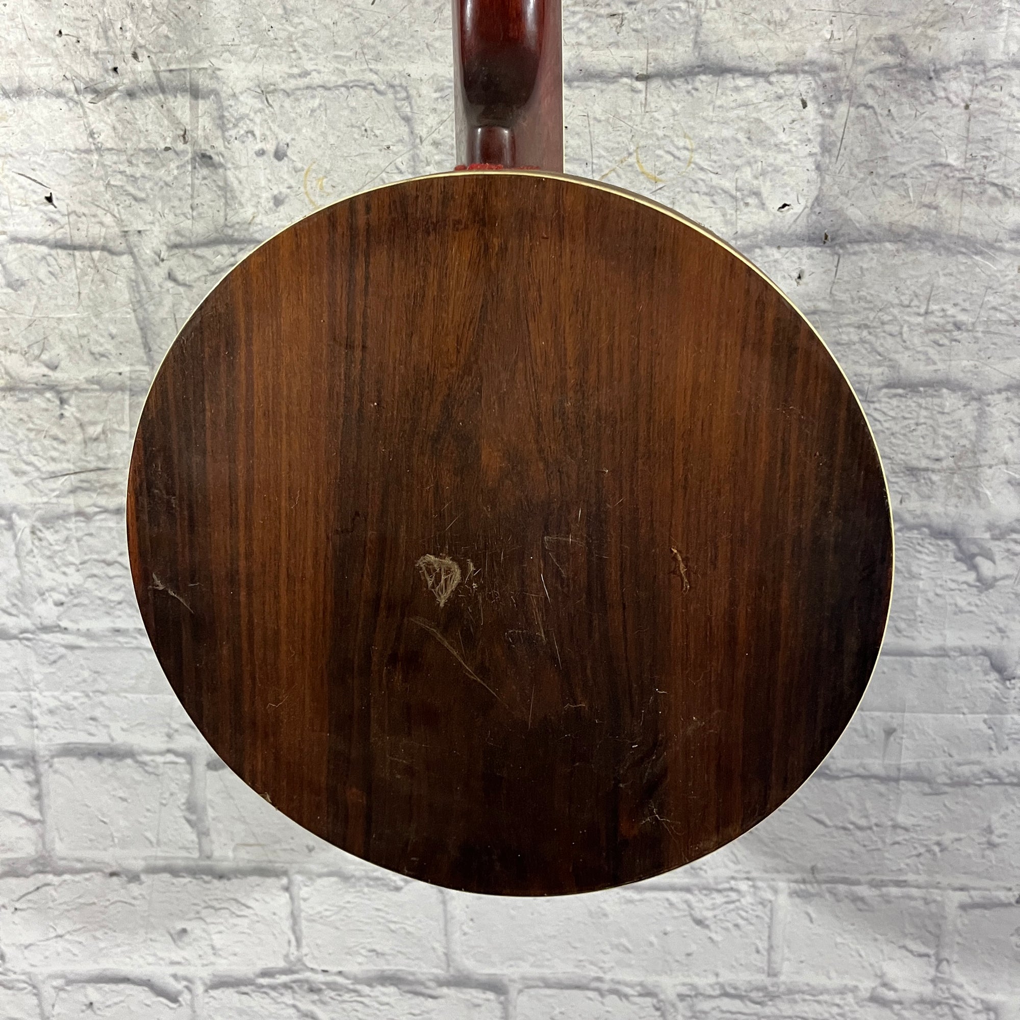Vivi 5 String Banjo