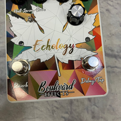 Boulevard Effects Echology Reverb and Delay Reverb Pedal