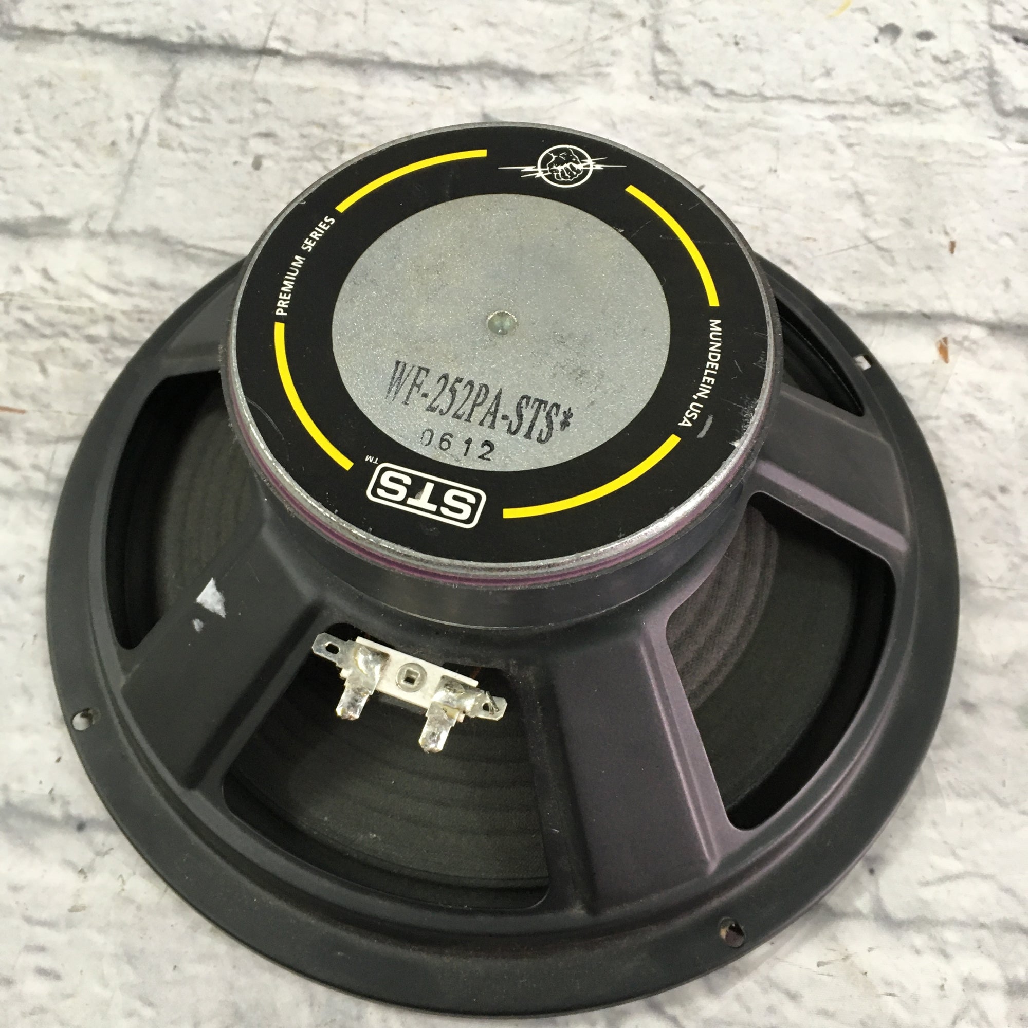 STS 10 Live Sound Speaker