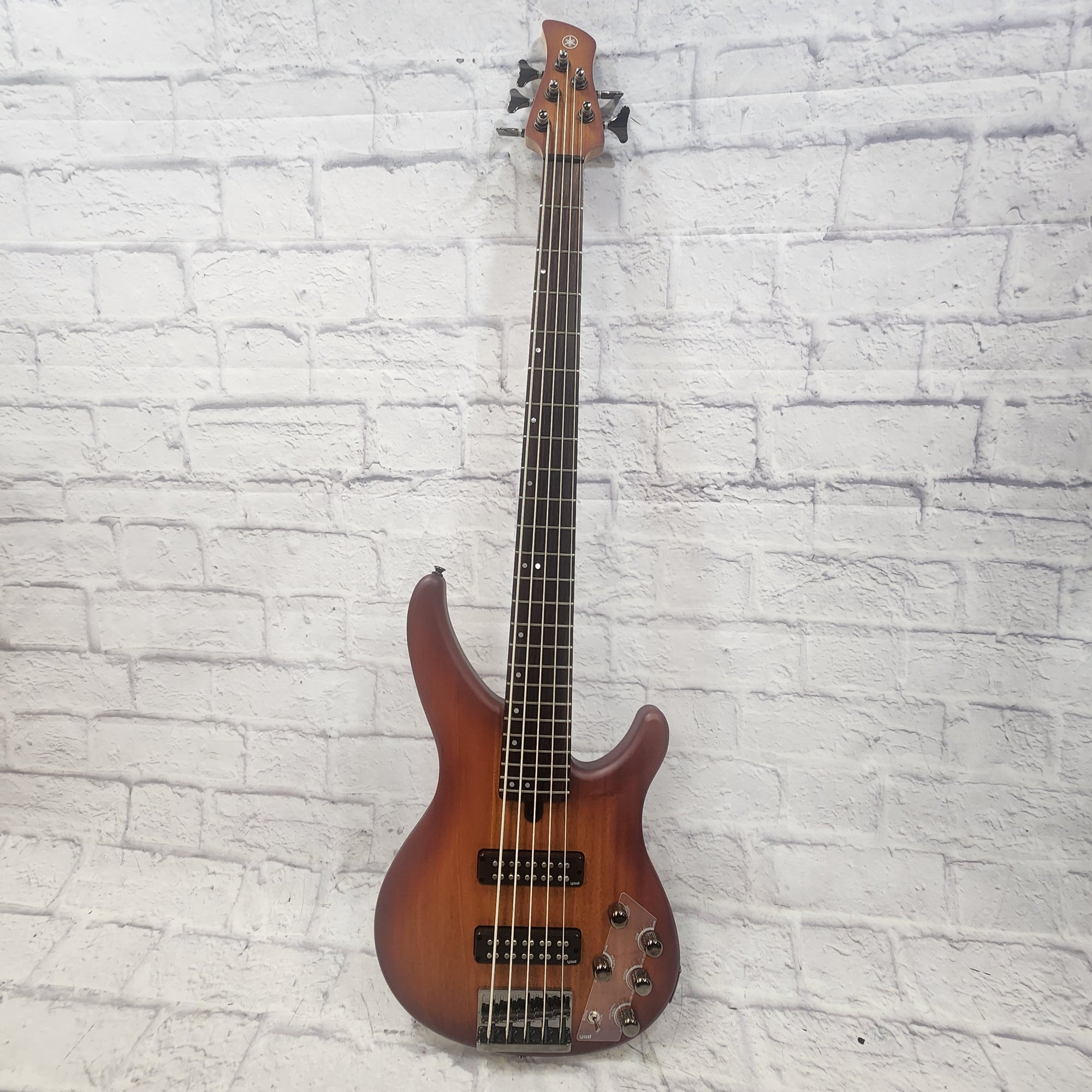 Yamaha TRBX505 5 String Bass Guitar - Evolution Music