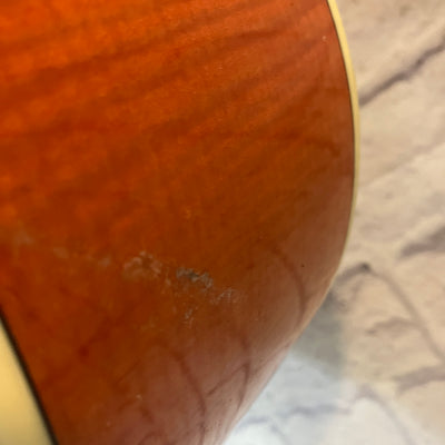 DBZ VRN DCFM Acoustic Guitar