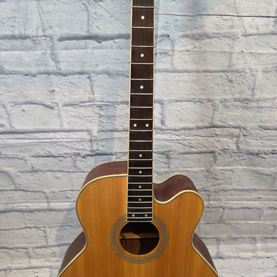 Dean Project Bass Acoustic Bass Without Bridge